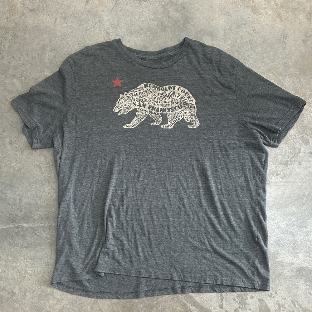 Gray Graphic T-Shirt